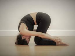 rabbit pose